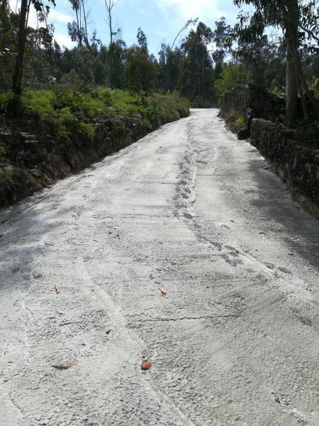 Subida de acesso ao monte em sobreiros, pavimentada.